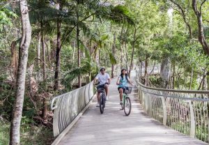 Premium Bike Hire