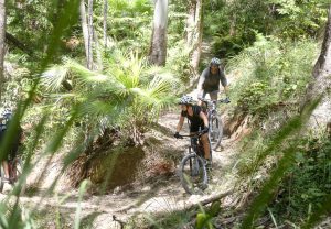 Noosa e-Mountain Bike Tour