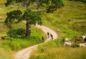 Hinterland eMTB Tour