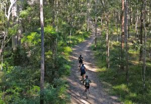 Summit to Sea Bike Tour