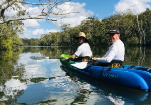 Stingrays & Everglades Kayak Experience