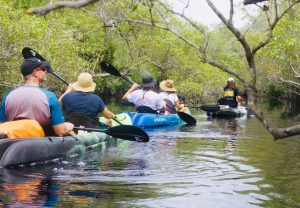 Stingrays & Everglades Kayak Tour