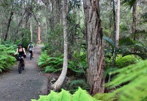 Guided Summit to Sea eBike Tour