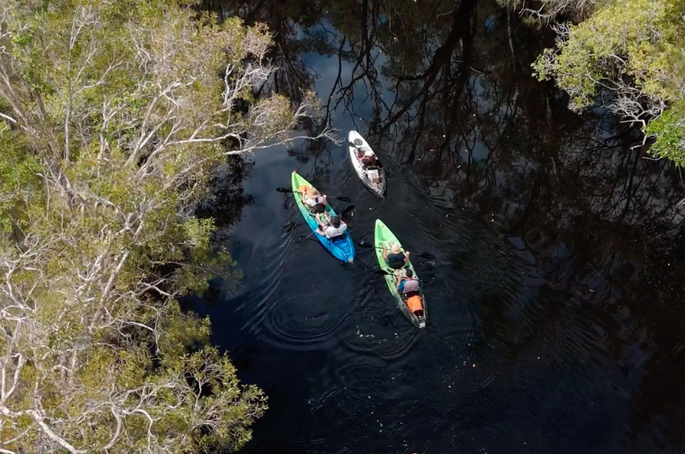 By Earth & Ocean Understanding the Noosa Everglade System